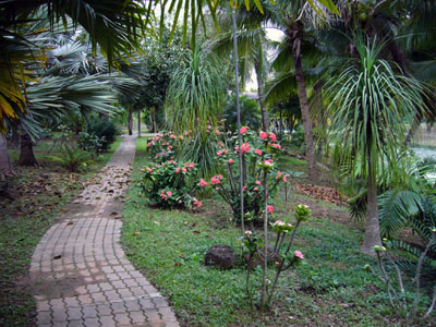 Consultation Image 1