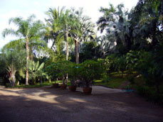 Part of The Garden